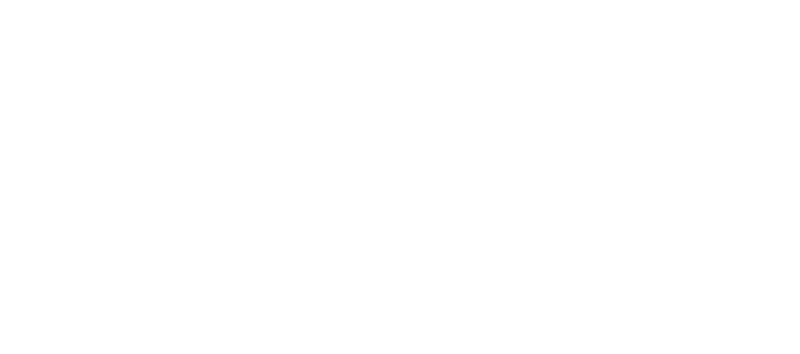 Southern Black Girls and Women's Consortium